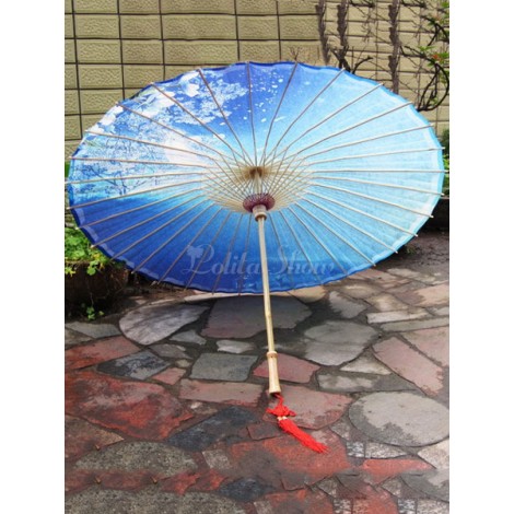 ロリィタ傘　ブルー　プリント付き　チャイナスタイル　お茶会　プリント柄